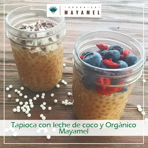 Tapioca con leche de coco y Orgánico Mayamel