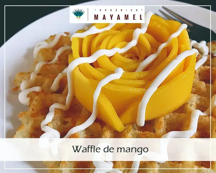 Waffles de Mango