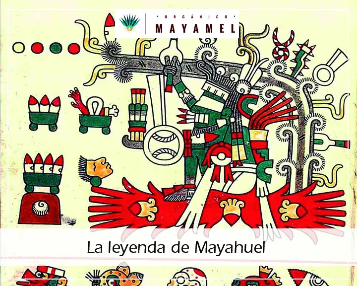 Mayahuel, la diosa del maguey